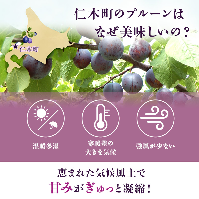 [先行受付] 【9月中旬～10月中旬出荷】 北海道 仁木町産 プルーン 約3kg（500g×6パック）サイズ混合  果物類 フルーツ 果物 詰合せ セット [くだもの直売  もり園]