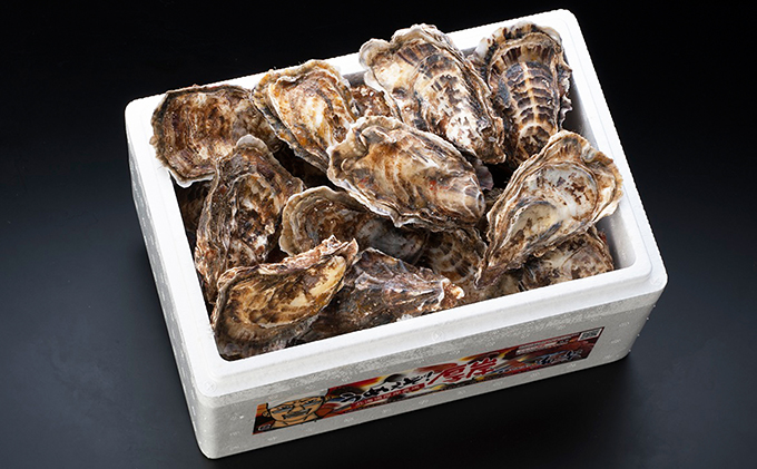 4か月 定期便 北海道 厚岸産 殻付牡蠣の食べ比べセット！（生食用）  牡蠣 カキ かき 生食 生食用 生牡蠣  食べ比べ 魚貝類 