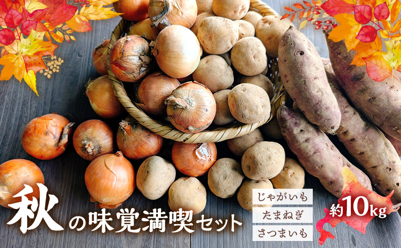 【2026年発送】 北海道 オーガニック 秋の味覚 じゃがいも 玉ねぎ さつまいも 約10kg 札幌黄 キタアカリ 馬鈴薯 ポテト サツマイモ 有機野菜 JAS 産直 産地直送 