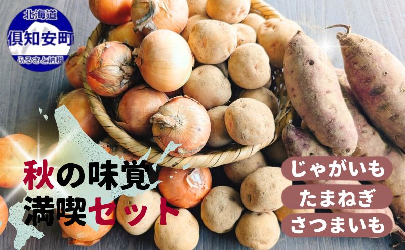 【2026年発送】 北海道 オーガニック 秋の味覚 じゃがいも 玉ねぎ さつまいも 約10kg 札幌黄 キタアカリ 馬鈴薯 ポテト サツマイモ 有機野菜 JAS 産直 産地直送 