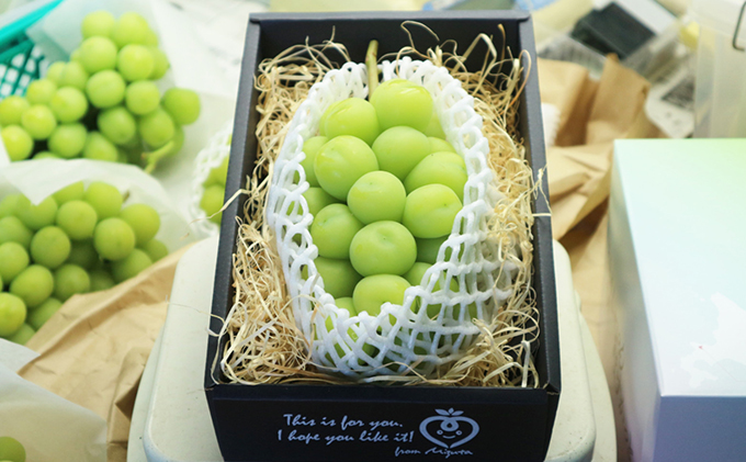 [先行受付] 北海道 仁木町産 シャインマスカット 500g以上 ブドウ 果実 果物類 ぶどう ブドウ 果物 くだもの フルーツ[水田農園]