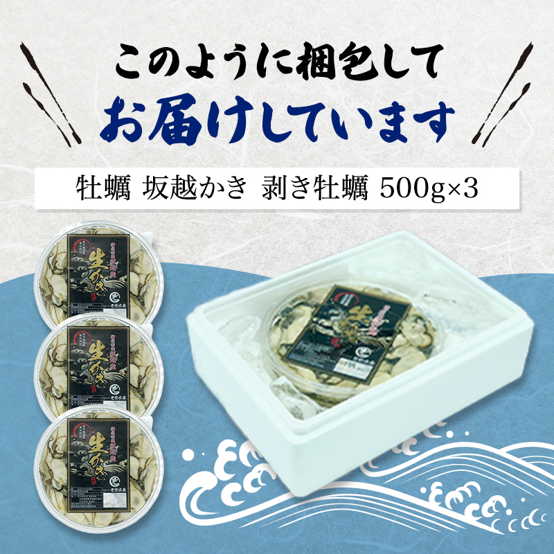 兵庫県赤穂市のふるさと納税  牡蠣 坂越かき 剥き牡蠣 500g×3[ 生牡蠣 かき カキ むき身 剥き身 生食 冬牡蠣 ] 魚貝類 魚介類