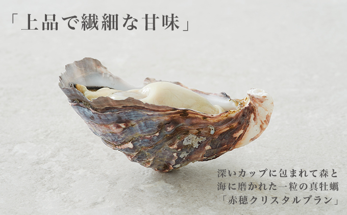 兵庫県赤穂市のふるさと納税  【夏も美味しい】牡蠣 坂越かき 赤穂クリスタルブラン40個（牡蠣ナイフ・軍手付き）[ 生牡蠣 かき カキ 殻付 生食 ] 魚貝類
