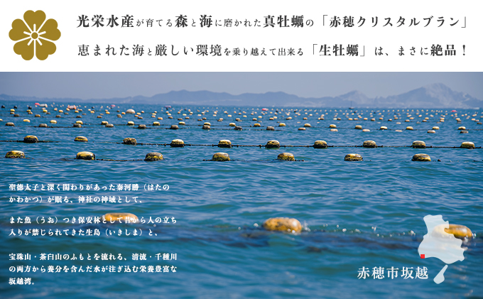 兵庫県赤穂市のふるさと納税 【夏も美味しい】 牡蠣 坂越かき 赤穂クリスタルブラン10個（牡蠣ナイフ・軍手付き）[ 生牡蠣 かき カキ 殻付 生食  ] 魚貝類