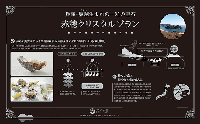 兵庫県赤穂市のふるさと納税 【夏も美味しい】 牡蠣 坂越かき 赤穂クリスタルブラン10個（牡蠣ナイフ・軍手付き）[ 生牡蠣 かき カキ 殻付 生食  ] 魚貝類