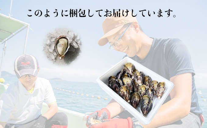 兵庫県赤穂市のふるさと納税 【夏も美味しい】 牡蠣 坂越かき 赤穂クリスタルブラン10個（牡蠣ナイフ・軍手付き）[ 生牡蠣 かき カキ 殻付 生食  ] 魚貝類