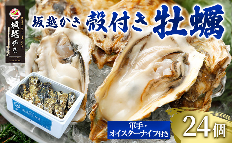 兵庫県赤穂市のふるさと納税 牡蠣 坂越かき 殻付き牡蠣24個 軍手・オイスターナイフ付き[ 生牡蠣 かき カキ 殻付 生食 冬牡蠣 ] 魚貝類