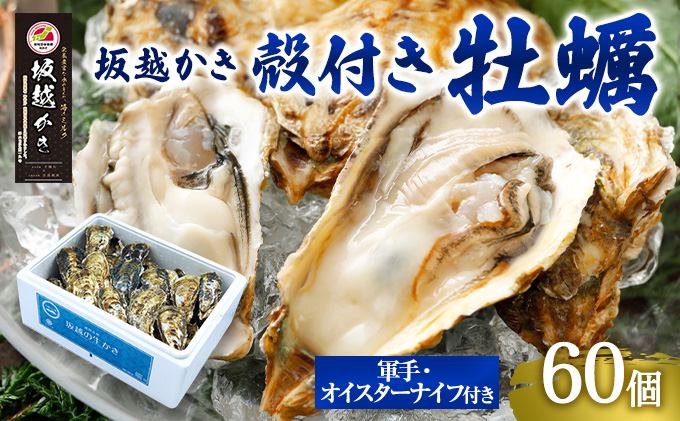 兵庫県赤穂市のふるさと納税 牡蠣 坂越かき 殻付き牡蠣60個 軍手・オイスターナイフ付き[ 生牡蠣 かき カキ 殻付 生食 冬牡蠣 ] 魚貝類