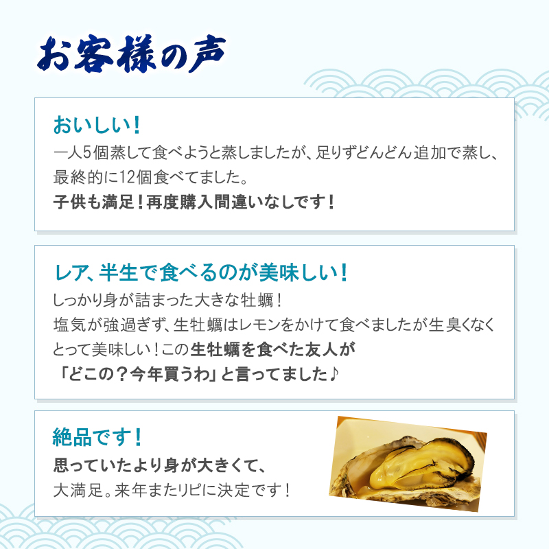 兵庫県赤穂市のふるさと納税 牡蠣 坂越かき 殻付き牡蠣48個 軍手・オイスターナイフ付き[ 生牡蠣 かき カキ 殻付 生食 冬牡蠣 ] 魚貝類