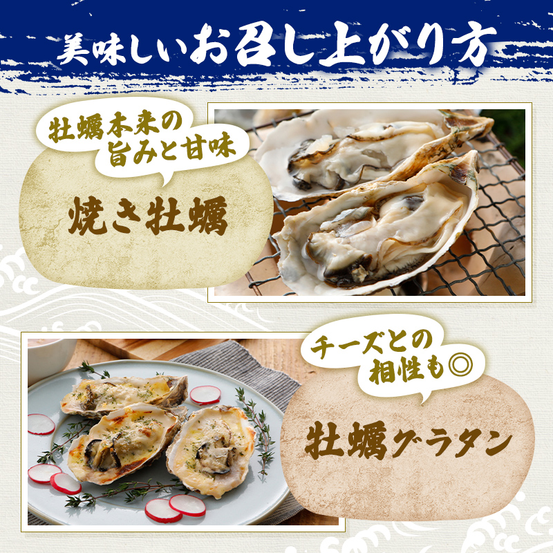 兵庫県赤穂市のふるさと納税 牡蠣 坂越かき 殻付き牡蠣48個 軍手・オイスターナイフ付き[ 生牡蠣 かき カキ 殻付 生食 冬牡蠣 ] 魚貝類