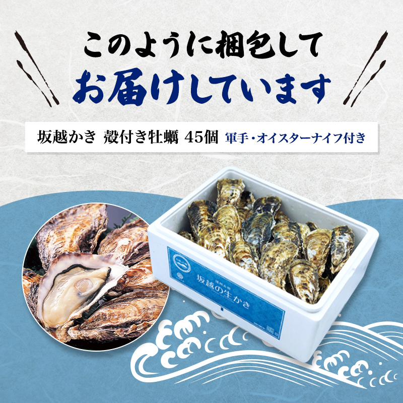 兵庫県赤穂市のふるさと納税 牡蠣 坂越かき 殻付き牡蠣48個 軍手・オイスターナイフ付き[ 生牡蠣 かき カキ 殻付 生食 冬牡蠣 ] 魚貝類