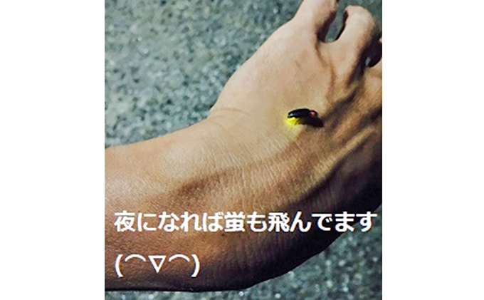 自然農法米こしひかり「自然の恵み」玄米5kg×2個《特別栽培米》 お米 コシヒカリ 特別農法 自然米 化学肥料ゼロ JAS有機栽培 安全なお米 