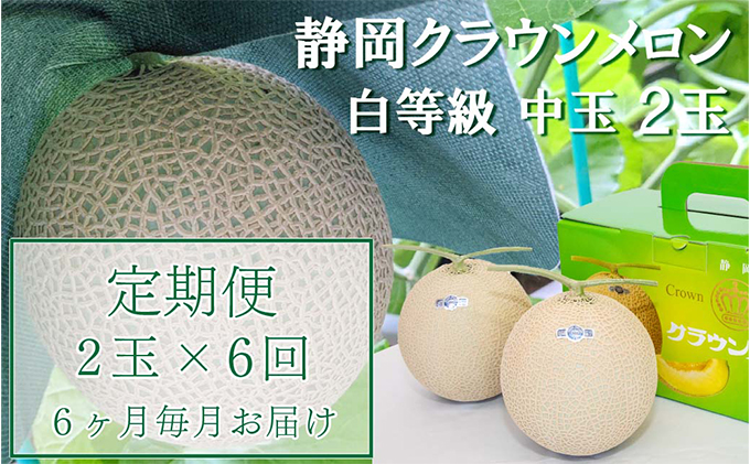 【静岡県袋井市】クラウンメロン【並(白等級)】中玉(1.3kg前後)2玉入り 定期便6ヶ月 人気 厳選 ギフト 贈り物 デザート グルメ  果物 袋井市 果物類 メロン青肉 フルーツ 6回 半年