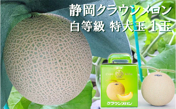 【静岡県袋井市】クラウンメロン【並(白等級)】特大玉(1.5kg前後)1玉入り 人気 厳選 ギフト 贈り物 デザート グルメ 果物 袋井市 果物類 メロン青肉 フルーツ