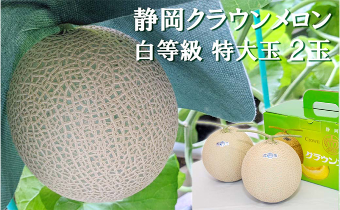 【静岡県袋井市】クラウンメロン【並(白等級)】特大玉(1.5kg前後)2玉入り 人気 厳選 ギフト 贈り物 デザート グルメ 果物 袋井市 果物類 メロン青肉 フルーツ
