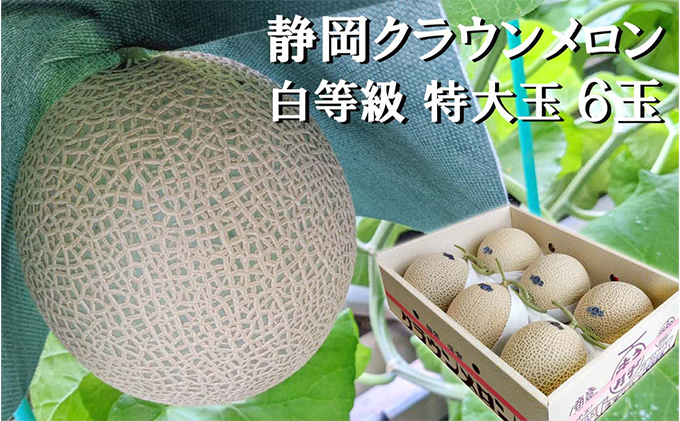 【静岡県袋井市】クラウンメロン【並(白等級)】特大玉(1.5kg前後)6玉入り 人気 厳選 ギフト 贈り物 デザート グルメ 果物 袋井市 果物類 メロン青肉 フルーツ