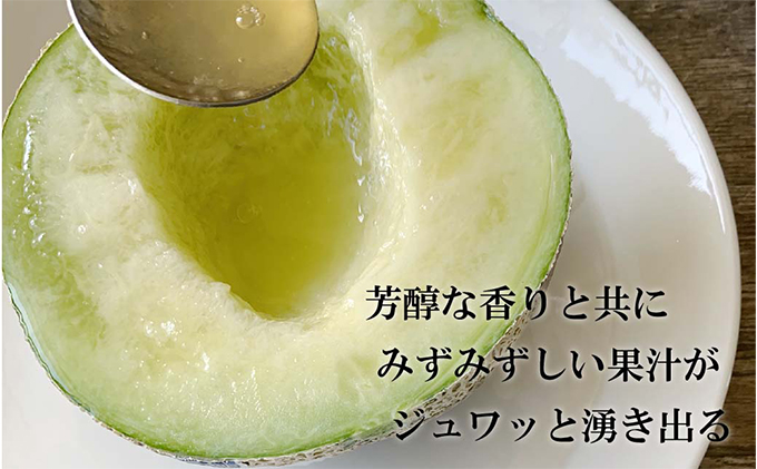 クラウンメロン【上（山等級）】中玉（1.3kg前後）1玉入り 定期便12ヶ月 人気 厳選 ギフト 贈り物 デザート グルメ 果物 袋井市 果物類 メロン青肉 フルーツ 12回 1年