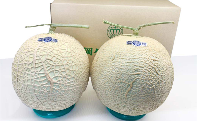 クラウンメロン 訳あり 2玉 定期便3ヶ月 人気 厳選 ギフト 贈り物 デザート グルメ 果物 袋井市 果物類 メロン青肉 フルーツ