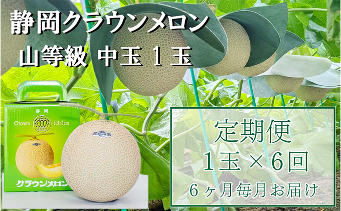 【静岡県袋井市】クラウンメロン【上(山等級)】中玉(1.3kg前後)1玉入り 定期便6ヶ月 人気 厳選 ギフト 贈り物 デザート グルメ 果物 袋井市 果物類 メロン青肉 フルーツ 6回 半年