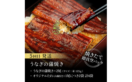 t130kyf-kgp-tka　コロナ支援事業者さんを救いたい5か月定期便／1回目:マグロの漬け丼、2回目:極カツオのたたき×2節・銀象ソルト+土佐にんにくぬた、3回目:赤＆白ホルモンセット、4回目:塩昆布14日間熟成マグロ赤身＆中トロセット、5回目:「西岡うなぎ」蒲焼き2尾セット～並～