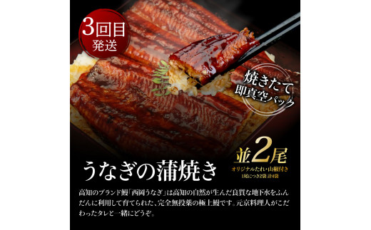 t129kyf-kgp　コロナ支援事業者さんを救いたい3か月定期便／1回目：マグロの漬け丼、2回目：芸西村本気極カツオのたたき（2～3人前）×2節、銀象ソルト+有機無添加土佐にんにくぬた、3回目：本気の高知ブランド鰻「西岡うなぎ」～並～うなぎの蒲焼き2尾セット（約250g）