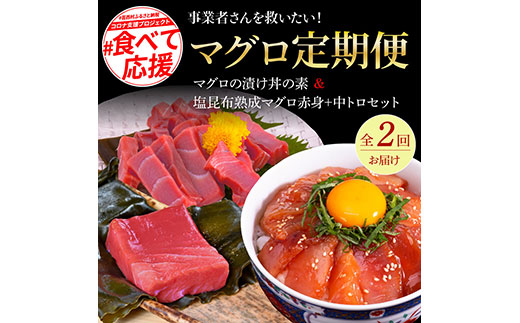高知県芸西村のふるさと納税 t128kyf-kgp　事業者さんを救いたいマグロ2ヶ月定期便／1回目：マグロの漬け丼、2回目：塩昆布14日間熟成マグロ赤身＆中トロセット