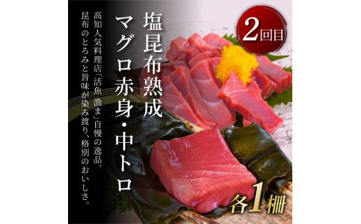 高知県芸西村のふるさと納税 t128kyf-kgp　事業者さんを救いたいマグロ2ヶ月定期便／1回目：マグロの漬け丼、2回目：塩昆布14日間熟成マグロ赤身＆中トロセット