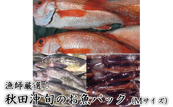 にかほ市の漁師厳選！秋田沖の旬のお魚パック！（Mサイズ・3～4人前） 魚介類 直送 新鮮 詰め合わせ 