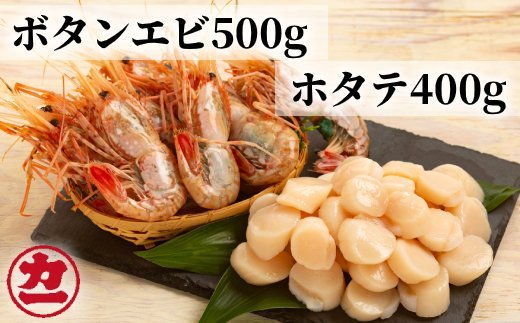 ykCʎsz28-48 Iz[cNYz^e(400g)ƂڂCV(500g)Zbg