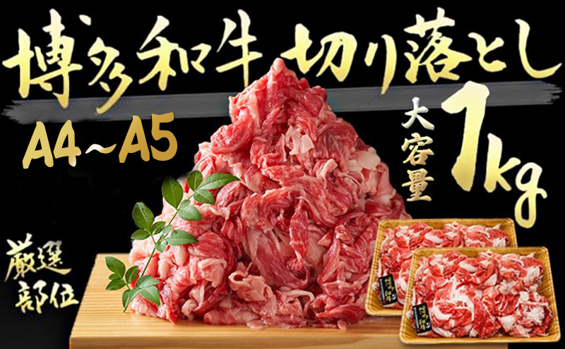 限定 牛肉 A4～A5 博多和牛 切落とし 合計1000g（500g×2p）計1kg 肩ロース 赤身 バラ カルビ 配送不可：離島 