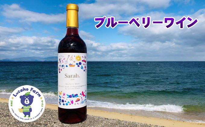 海のキレイな街で育ったブルーベリーワイン お酒 