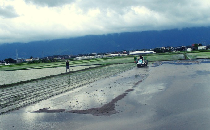 定期便 3回 米 5kg 玄米 ゆめつくし お米 ビタミン ミネラル 食物繊維 低温保存管理 
