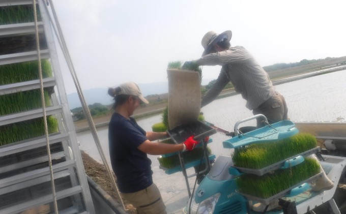 定期便 3回 米 5kg 季節野菜 セット 精米 ゆめつくし お米 詰合せ 上白米 低温保存米 お野菜セット 