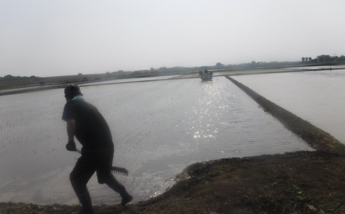 定期便 3回 米 5kg 季節野菜 セット 精米 ゆめつくし お米 詰合せ 上白米 低温保存米 お野菜セット 