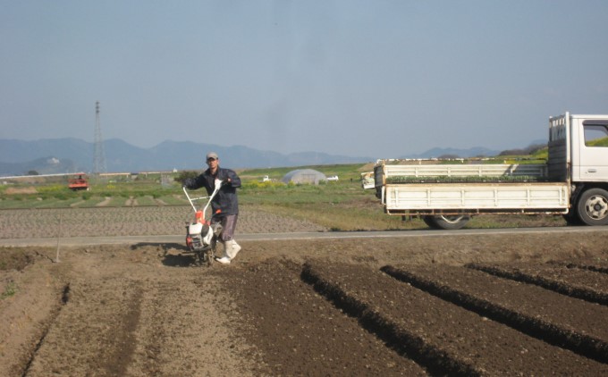 定期便 3回 米 5kg 季節野菜 セット 精米 ゆめつくし お米 詰合せ 上白米 低温保存米 お野菜セット 