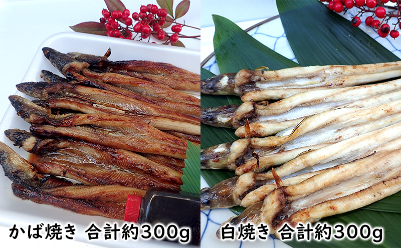【岡山県瀬戸内市】あなご 先行予約 山銀商店 白焼き ・ かば焼き あなご セット (合計約600g) 産地直送 穴子 魚介類 アナゴ