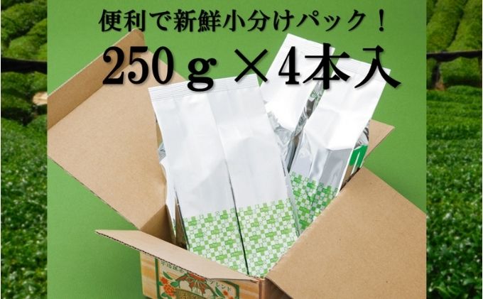 宇治抹茶入深蒸し煎茶1kg3ヵ月毎3回コース(250g×4袋×3回)〈定期便 煎茶 お茶 茶 緑茶 深むし 深蒸し茶 茶葉 宇治抹茶 抹茶 飲料 ブレンド 加工食品〉 飲料類 宇治抹茶入り 