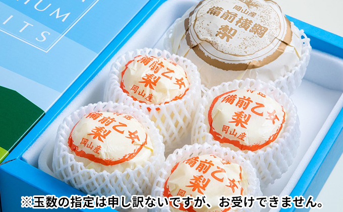 梨 2025年 先行予約 備前横綱梨（あたご梨）1玉 (1～1.4kg)・備前乙女梨（鴨梨） 3～5玉 詰合せ 合計約3.0kg【11月下旬～12月中旬頃発送】 岡山県産 フルーツ ギフト 石原果樹園 果物 