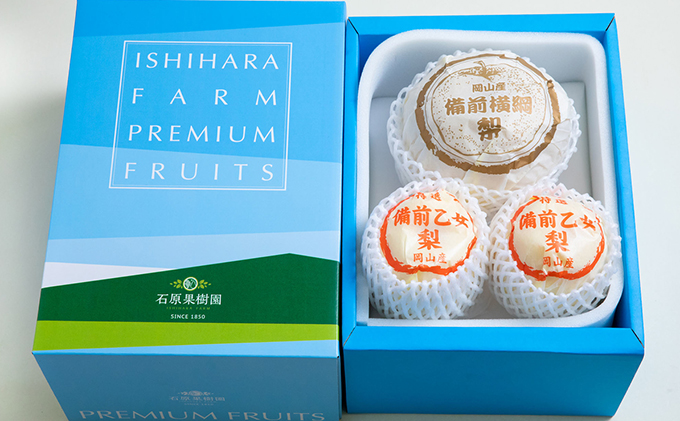 梨 2025年 先行予約 備前横綱梨（あたご梨） 1玉( 1～1.4kg)・備前乙女梨（鴨梨） 2～3玉 詰合せ 合計約2.0kg 【11月下旬～12月中旬頃発送】岡山県産 フルーツ ギフト 石原果樹園 ナシ 果物 