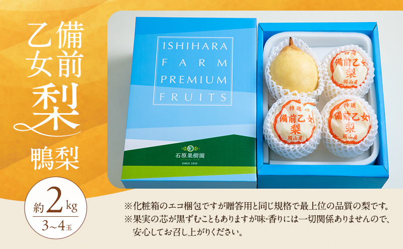 梨 2026年 先行予約 備前乙女梨（鴨梨） 3～4玉 合計約2kg【11月下旬～12月中旬頃発送】ナシ なし 岡山県産 国産 フルーツ 果物 ギフト 石原果樹園 