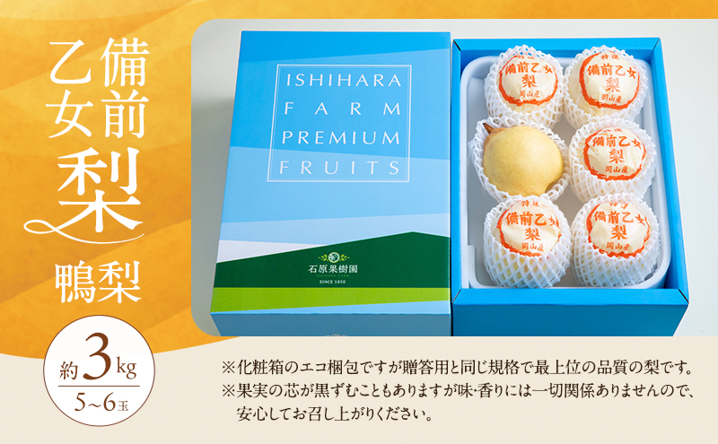梨 2026年 先行予約 備前乙女梨（鴨梨） 5～6玉 合計約3kg【11月下旬～12月中旬頃発送】ナシ なし 岡山県産 国産 フルーツ 果物 ギフト 石原果樹園 