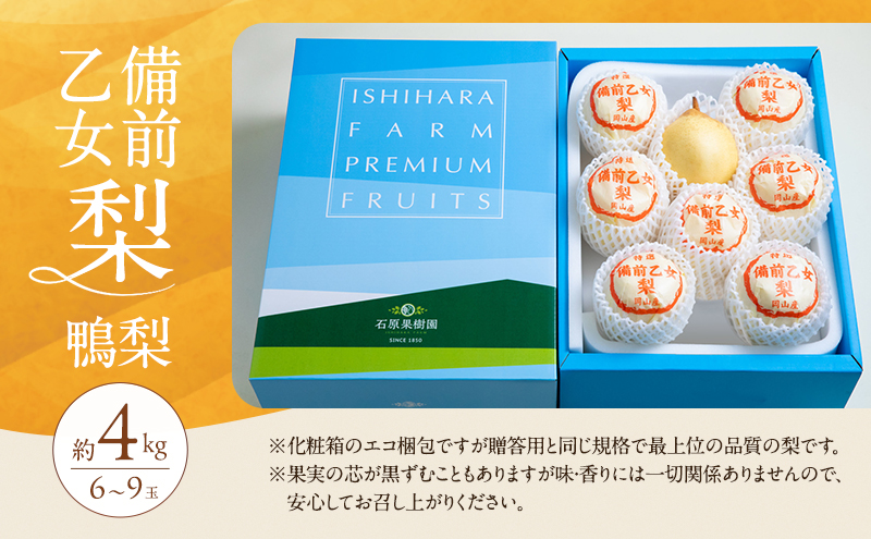 梨 2026年 先行予約 備前乙女梨（鴨梨） 6～9玉 合計約4kg【11月下旬～12月中旬頃発送】 ナシ なし 岡山県産 国産 フルーツ 果物 ギフト 石原果樹園 