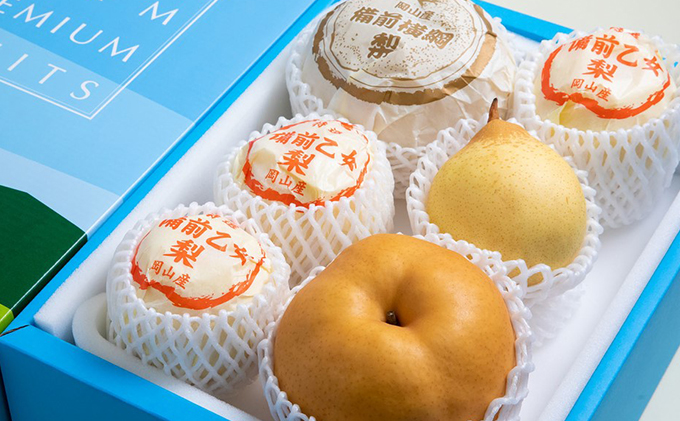 梨 2025年 先行予約 備前横綱梨（あたご梨） 2玉（1玉1～1.4kg）・備前乙女梨（鴨梨） 4～6玉 詰合せ 合計約4.0kg【11月下旬～12月中旬頃発送】 岡山県産 フルーツ ギフト 石原果樹園