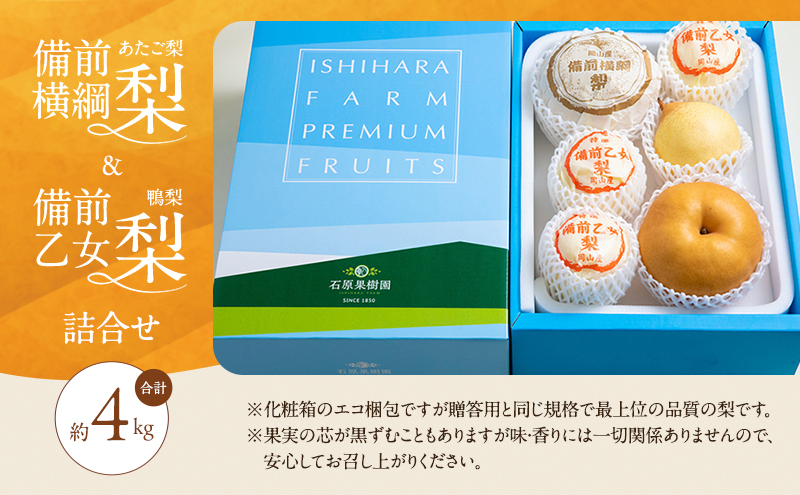 梨 2026年 先行予約 備前横綱梨（あたご梨） 2玉（1玉1～1.5kg）・備前乙女梨（鴨梨） 4～6玉 詰合せ 合計約4.0kg【11月下旬～12月中旬頃発送】 岡山県産 フルーツ ギフト 石原果樹園