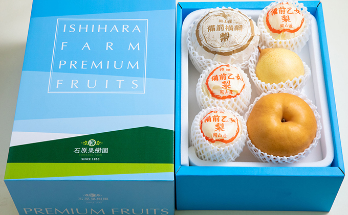 梨 2025年 先行予約 備前横綱梨（あたご梨） 2玉（1玉1～1.4kg）・備前乙女梨（鴨梨） 4～6玉 詰合せ 合計約4.0kg【11月下旬～12月中旬頃発送】 岡山県産 フルーツ ギフト 石原果樹園