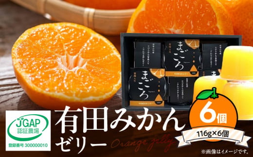 ZE6197n_有田みかんゼリー「まごころ」116g×6個入り（化粧箱入り）