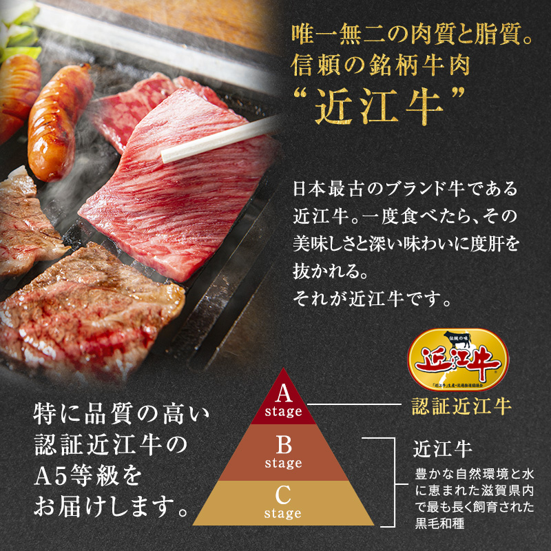 滋賀県豊郷町のふるさと納税 近江牛 焼肉 中上赤身焼肉用 約600g A5 雌牛 西川畜産 牛肉 黒毛和牛 焼き肉 焼肉用 バーベキュー 赤身 肉 お肉 牛 和牛 ブランド牛