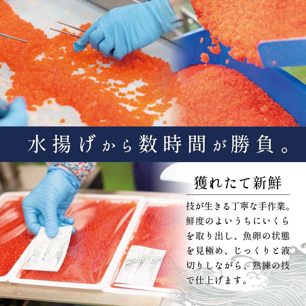 北海道別海町のふるさと納税 ESSE グランプリ獲得! 2022 ふるさとグランプリ 数量限定！贅沢堪能！北海道産 鮭いくら 醤油漬け 500g＜いくら丼6～8杯分！＞ 鱒（マス）ではなく、北海道産の鮭（サケ）のいくらですMT0001TA1(北海道 別海町 野付 いくら イクラ 醤油イクラ 油漬け 大粒 ふるさと納税)