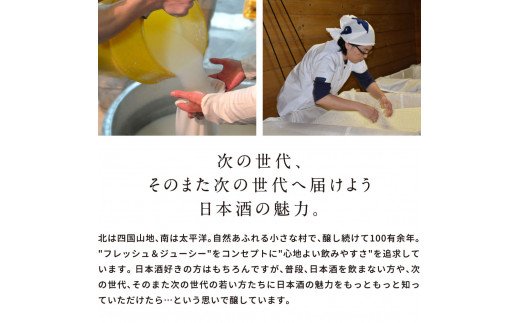 SSJ026　志ら菊 上撰 1800ml 2本＜高知 芸西村 仙頭酒造場 酒 日本酒 土佐 しらぎく＞