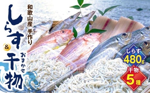 【和歌山県有田郡湯浅町】DL6002n_しらす ・ 干物 おまかせ詰め合わせ セット B